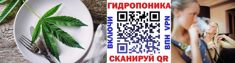 Еда ТГК конопля  Купить где  Агрыз 