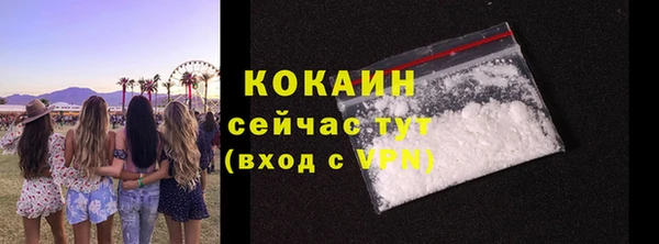 стаф Пересвет