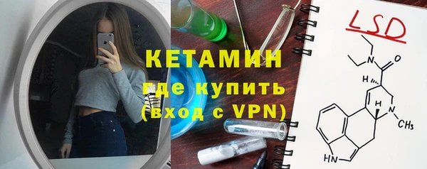 стаф Пересвет