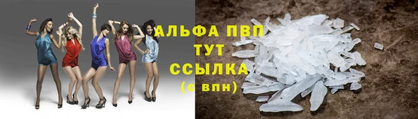 ГАЛЛЮЦИНОГЕННЫЕ ГРИБЫ Покачи