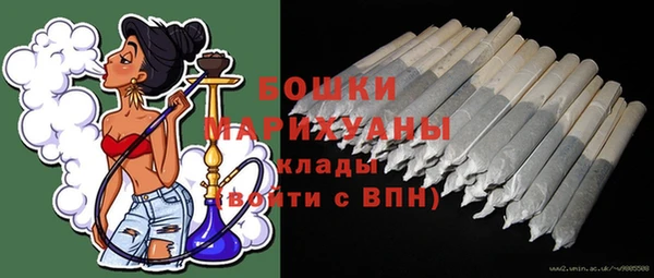 ГАЛЛЮЦИНОГЕННЫЕ ГРИБЫ Покачи