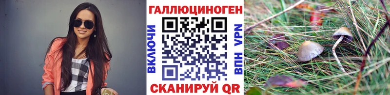 Галлюциногенные грибы ЛСД  Купить где  Агрыз 